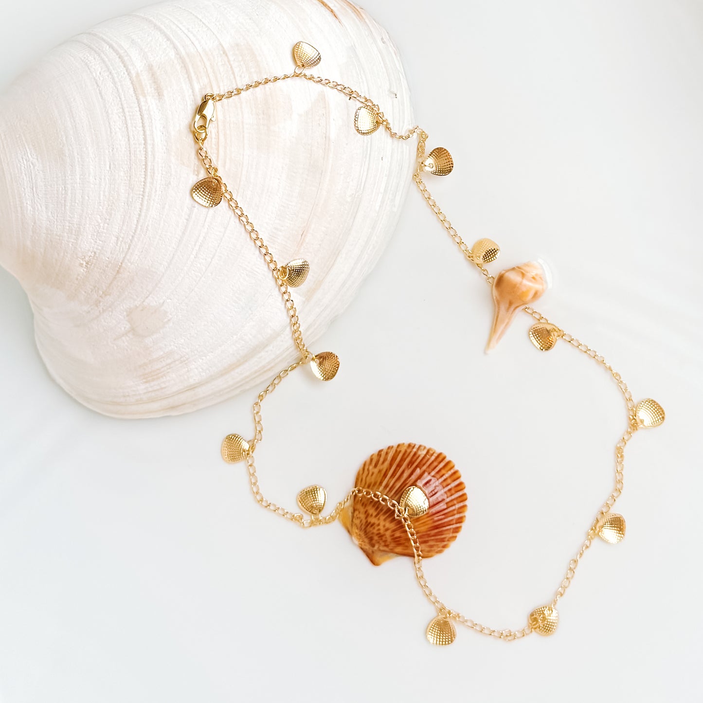 THE SHELL SEEKER CHOKER NECKLACE
