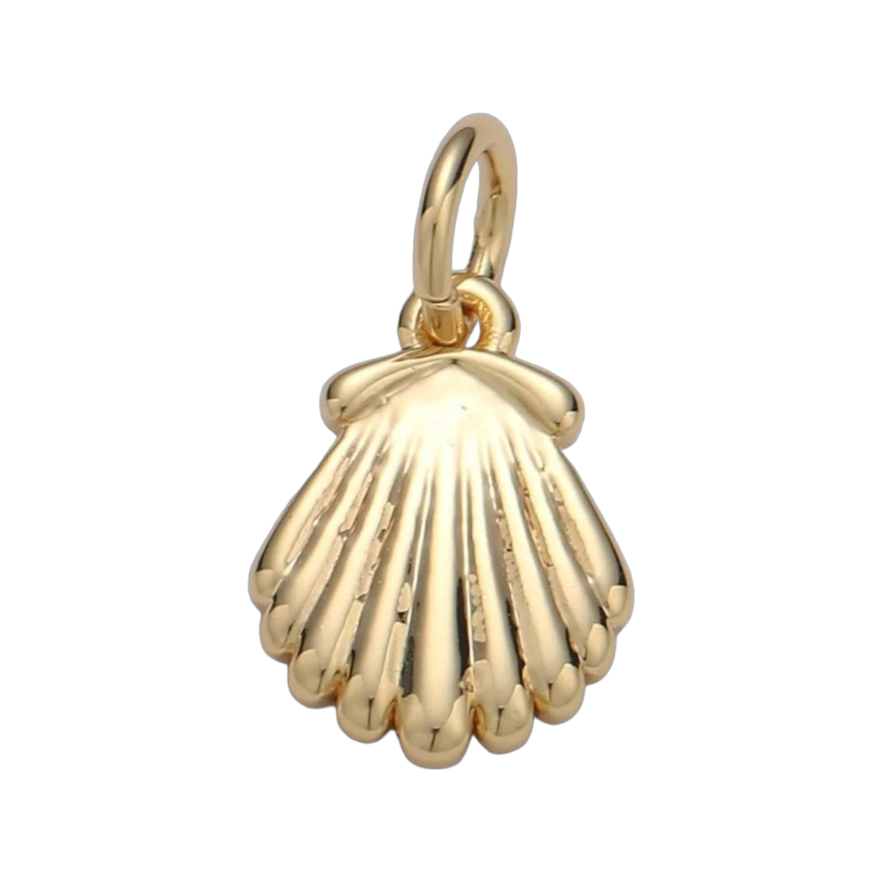 TINY CLAM SHELL CHARM