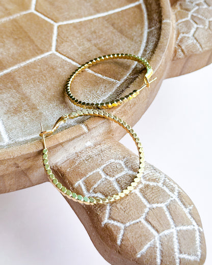 SUNBEAM HOOPS
