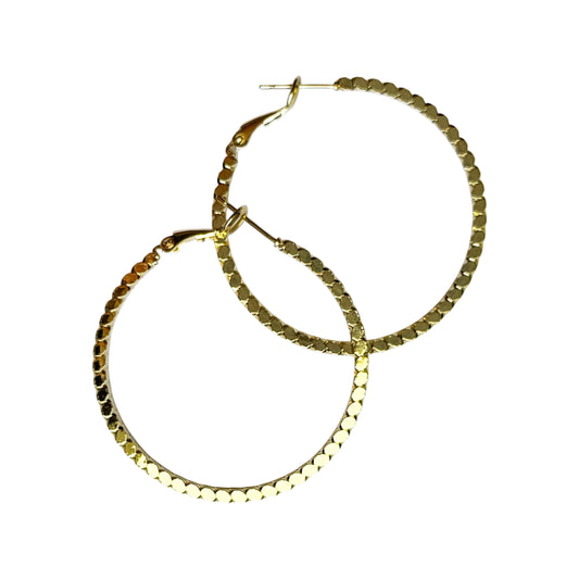 SUNBEAM HOOPS