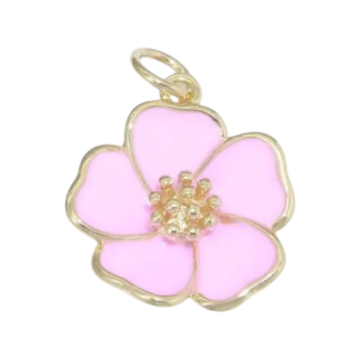 HIBISCUS CHARM