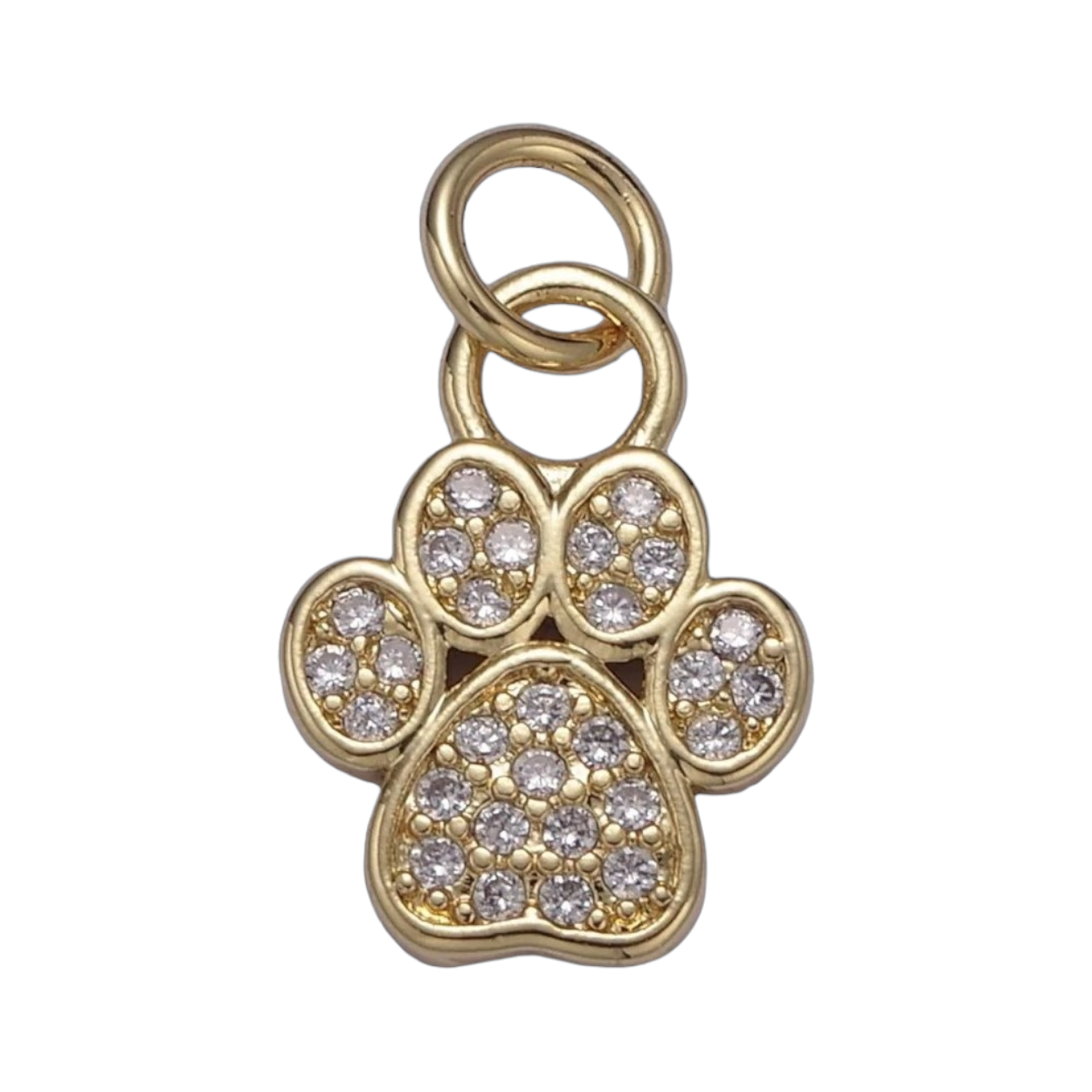 SPARKLE PAW CHARM